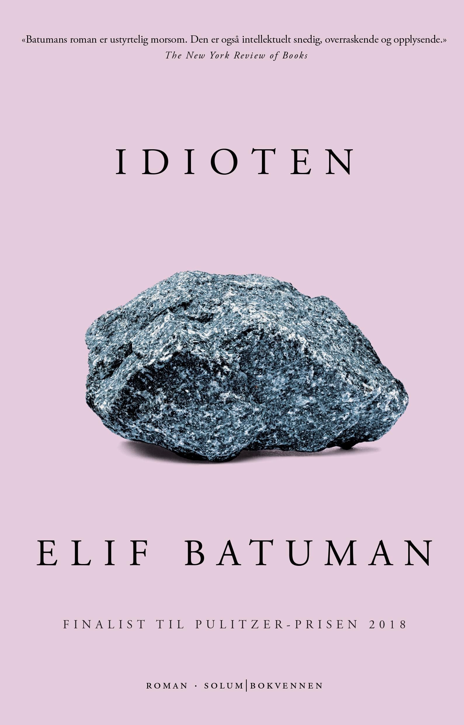 Idioten : roman