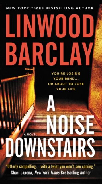 A Noise Downstairs : A Novel