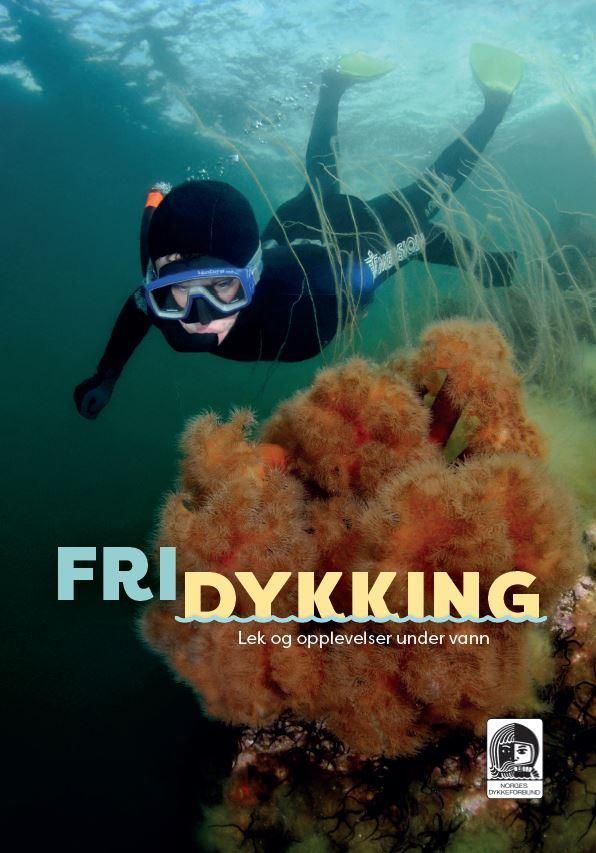 Fridykking : lek og opplevelser under vann