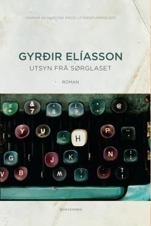 Utsyn frå sørglaset : roman