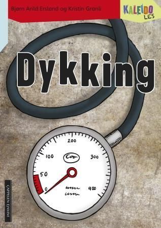 Dykking