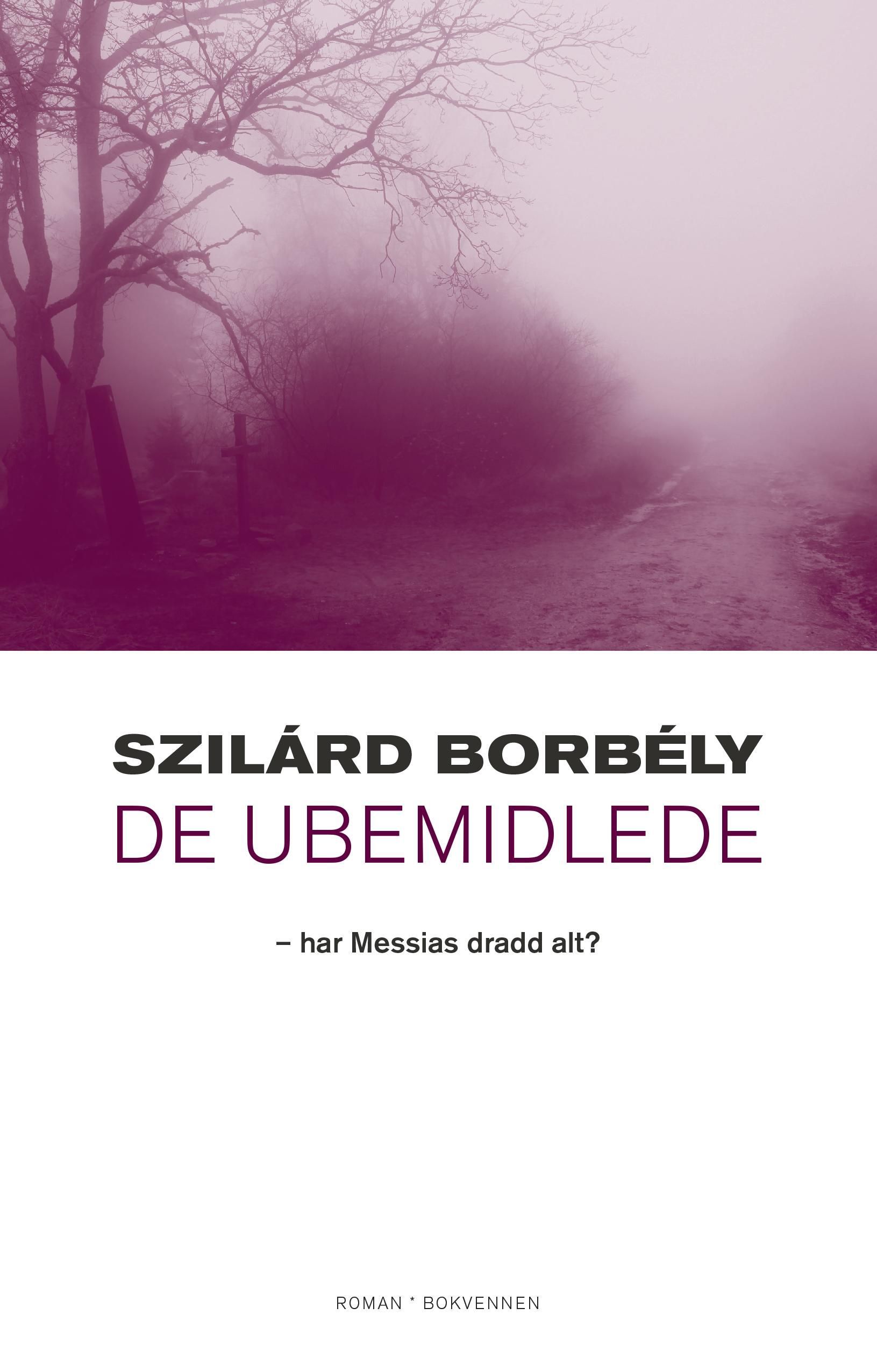De ubemidlede : har Messias dradd alt? : roman