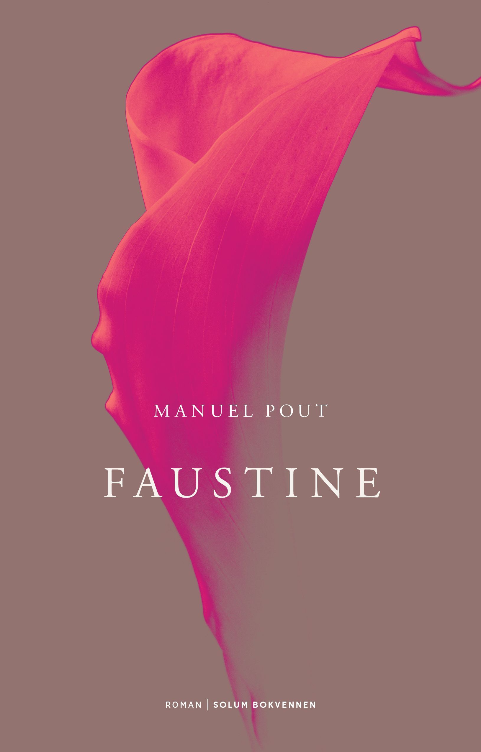 Faustine : roman