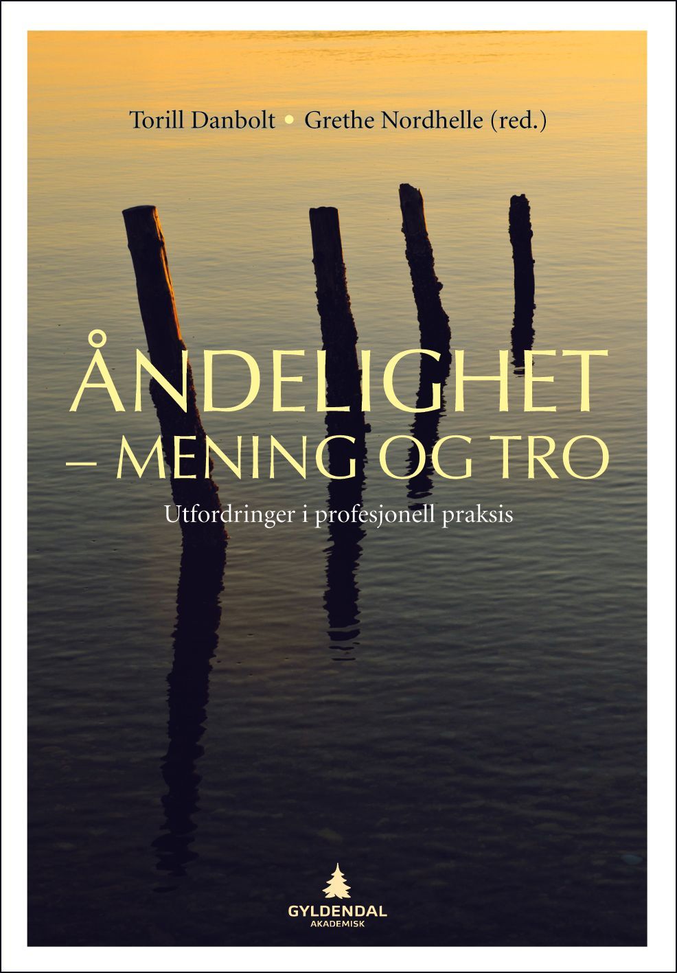 Åndelighet - mening og tro : utfordringer i profesjonell praksis