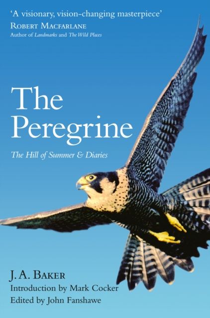 The Peregrine : The Hill of Summer & Diaries: the Complete Works of J. A. Baker