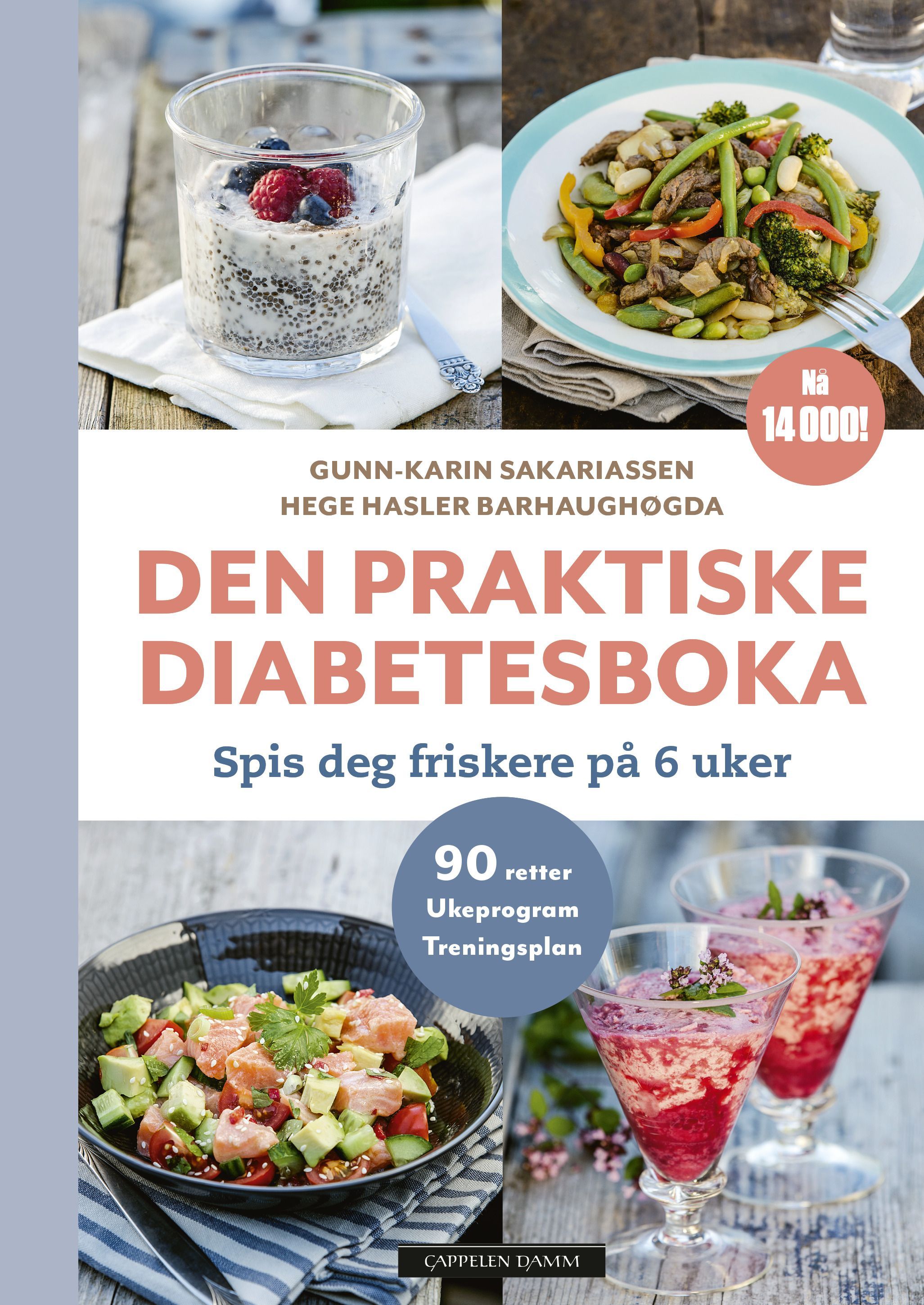 Den praktiske diabetesboka : spis deg frisk på 6 uker