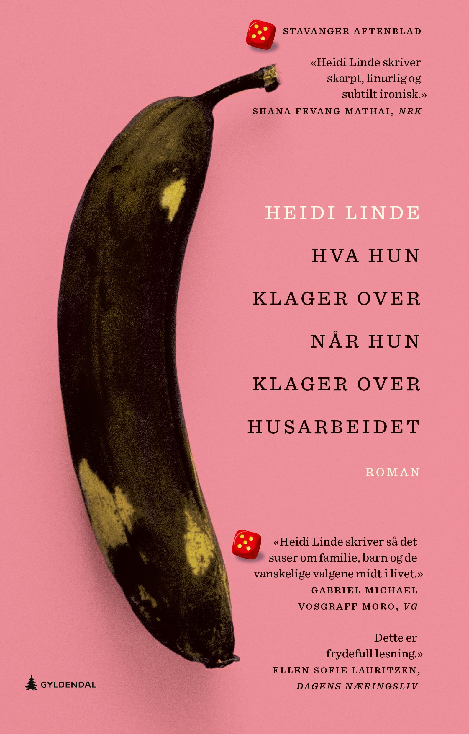 Hva hun klager over når hun klager over husarbeidet : roman