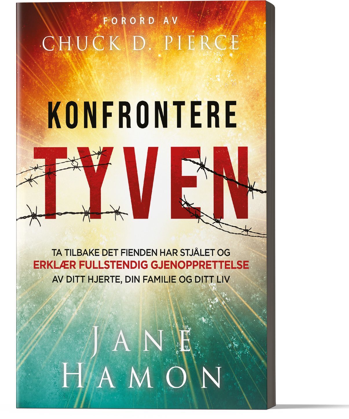 Konfrontere tyven : ta tilbake det fienden har stjålet og erklær fullstendig gjenopprettelse av ditt hjerte, din familie og ditt liv
