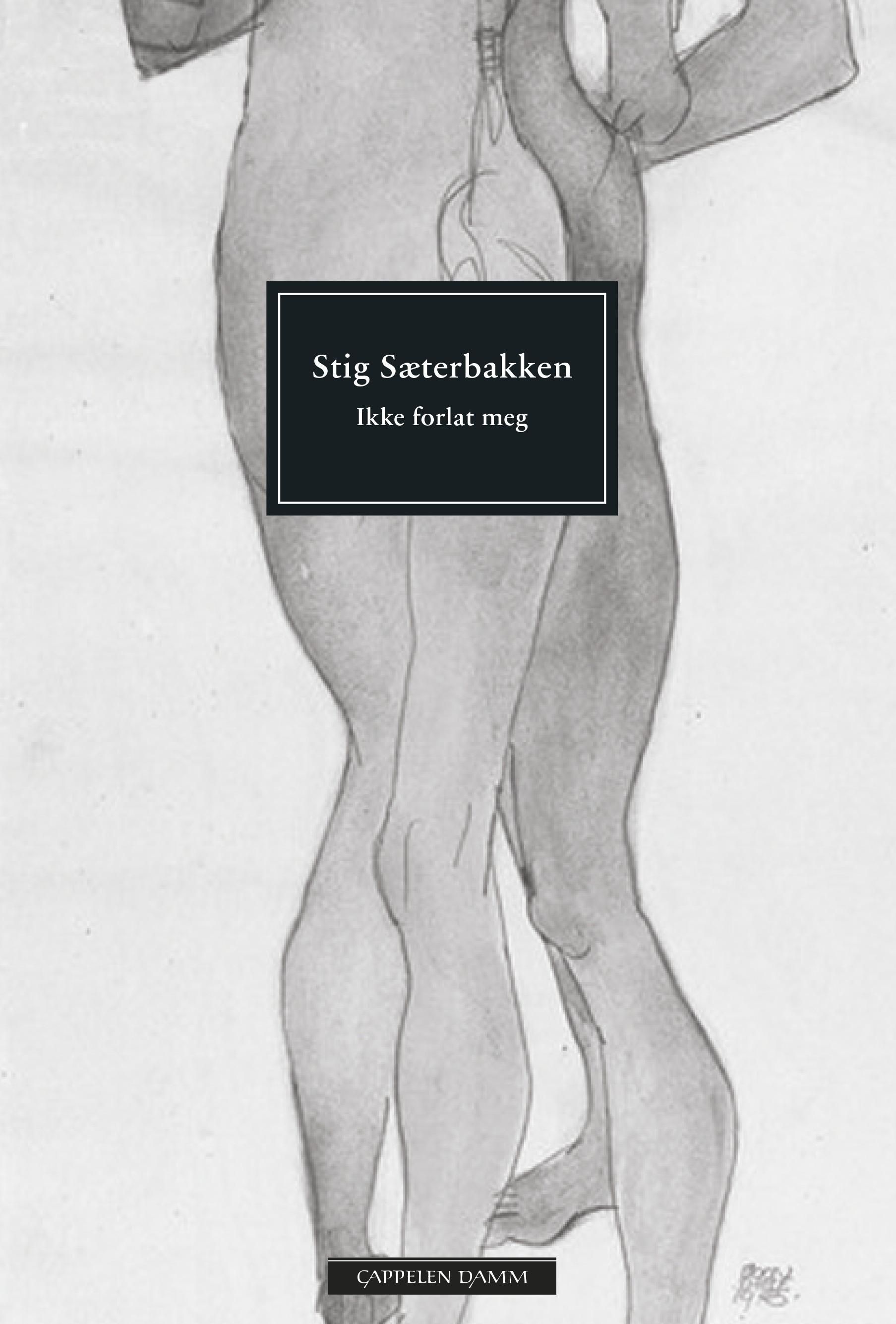 Ikke forlat meg : roman
