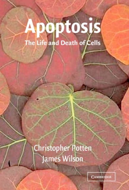 Apoptosis : The Life and Death of Cells