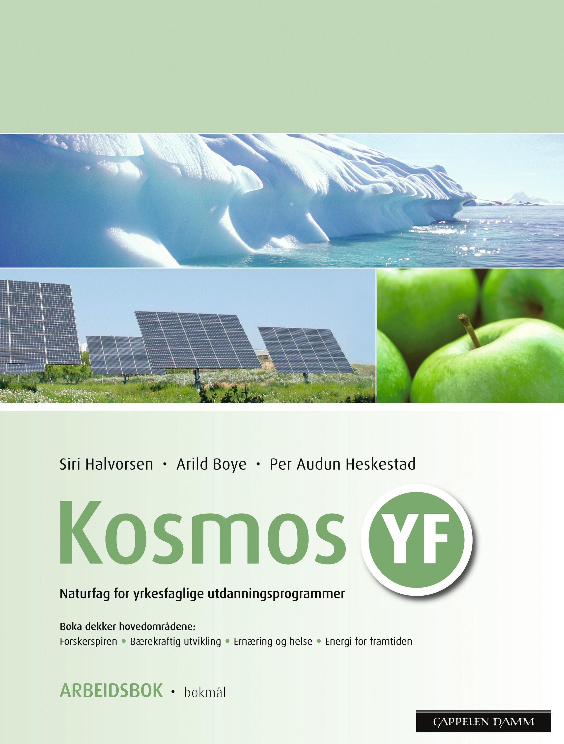 Kosmos YF : naturfag for yrkesfaglige utdanningsprogrammer : arbeidsbok