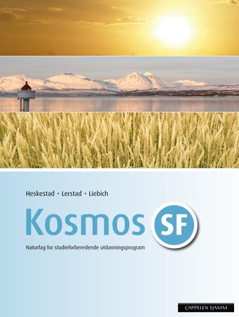 Kosmos