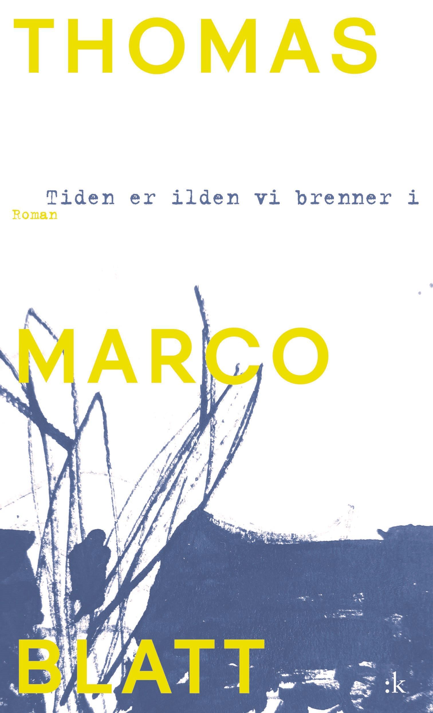 Tiden er ilden vi brenner i : roman