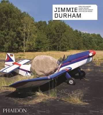 Jimmie Durham : Contemporary Artists series