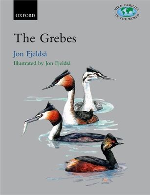 The Grebes : Podicipedidae