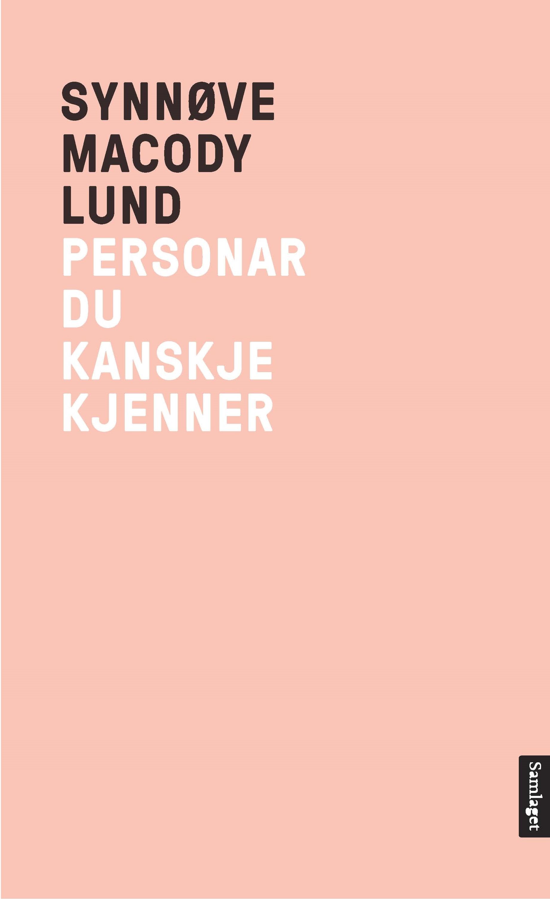 Personar du kanskje kjenner : roman