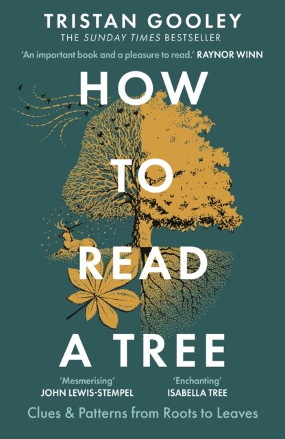How to Read a Tree : A must-have for all nature lovers - perfect reading for your summer adventures