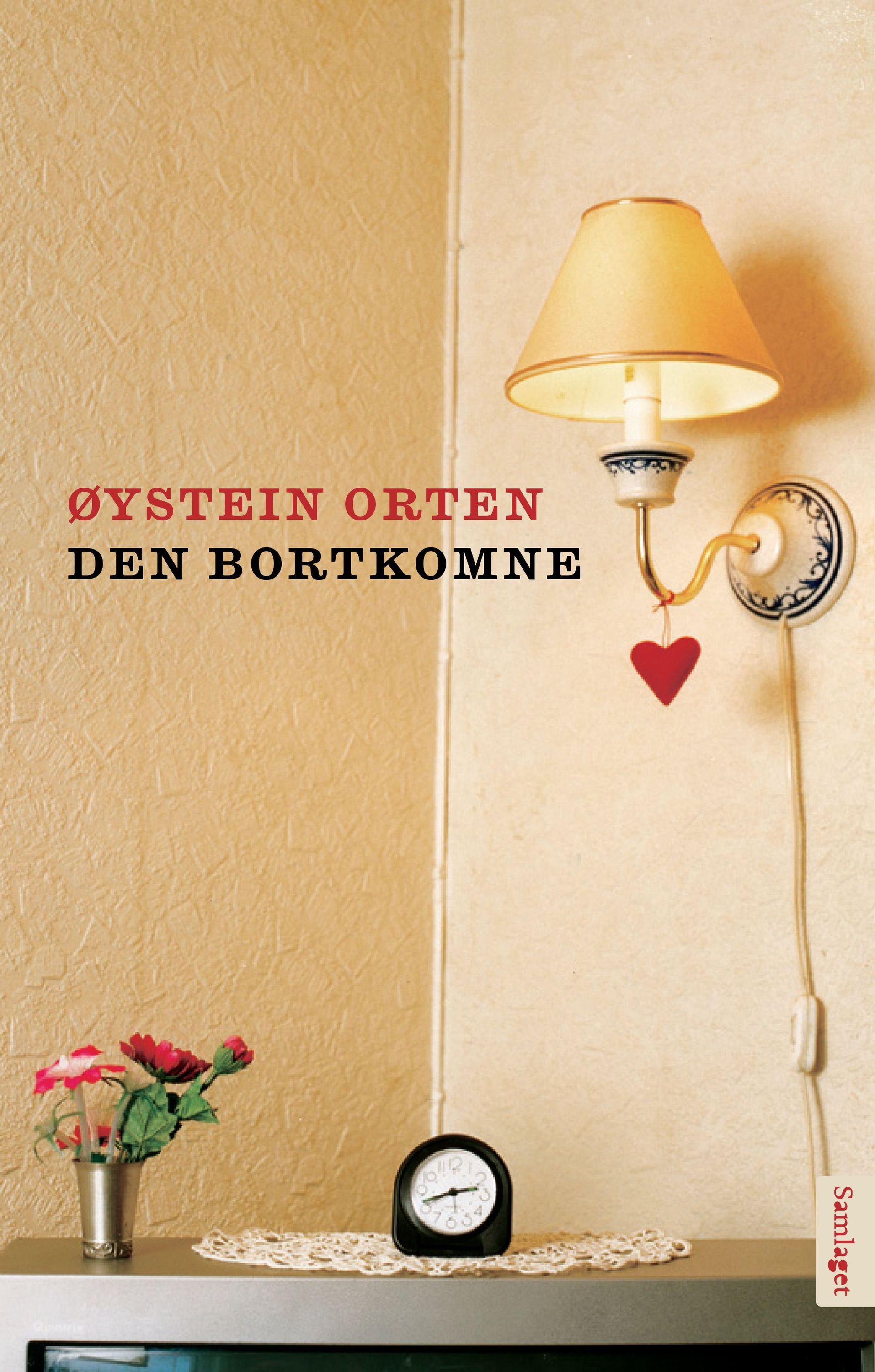 Den bortkomne : roman