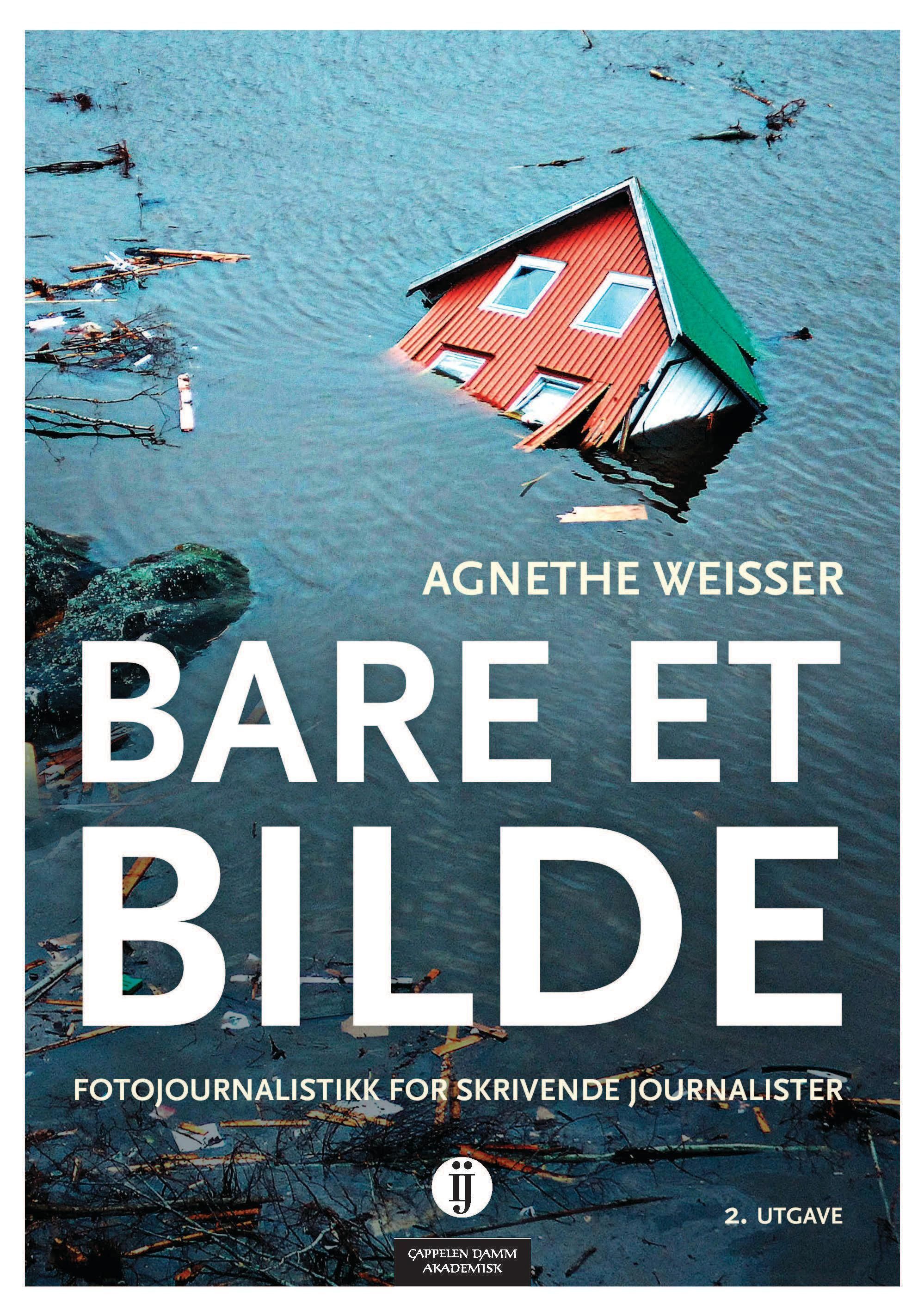 Bare et bilde : fotojournalistikk for skrivende journalister