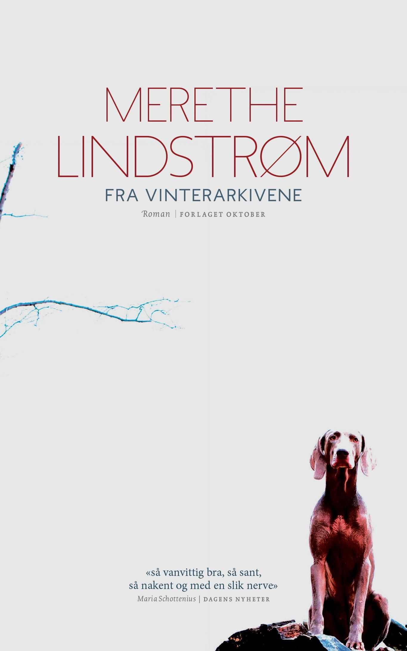 Fra vinterarkivene : roman