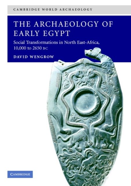 The Archaeology of Early Egypt : Social Transformations in North-East Africa, c.10,000 to 2,650 BC