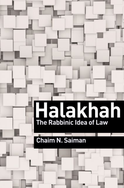 Halakhah : The Rabbinic Idea of Law