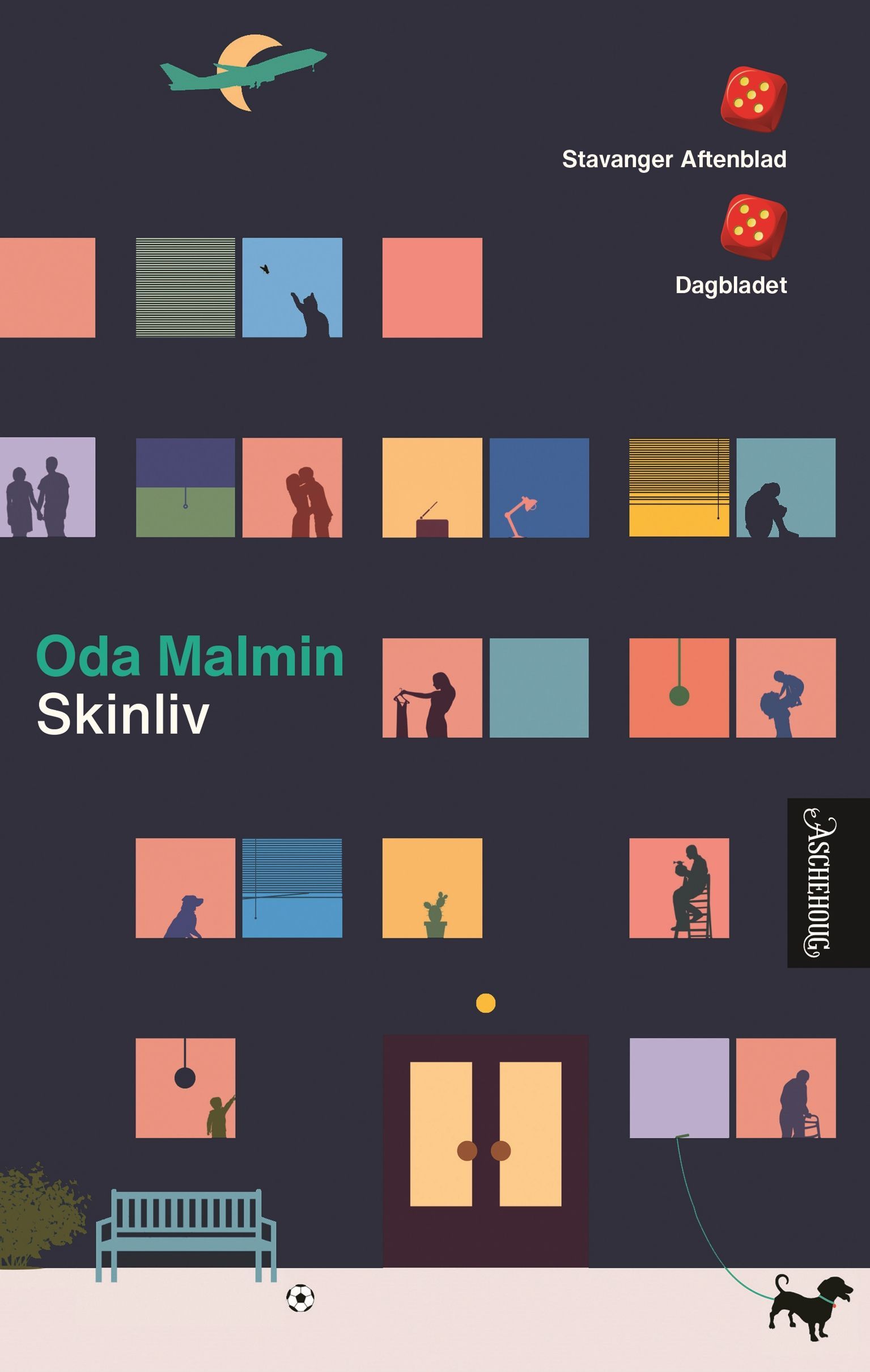 Skinliv : roman