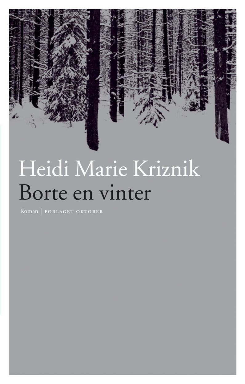 Borte en vinter : roman