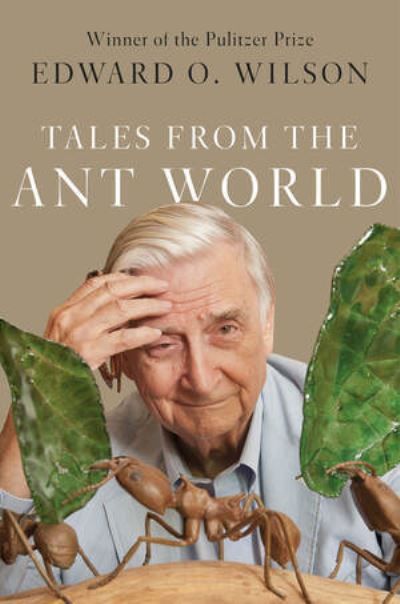 Tales from the ant world