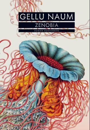 Forsidebilde av Zenobia