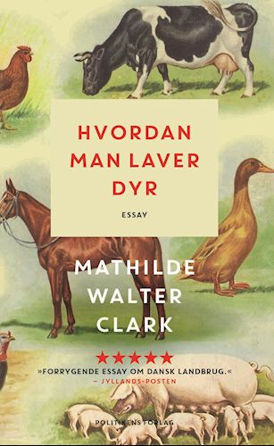 Hvordan man laver dyr : essay