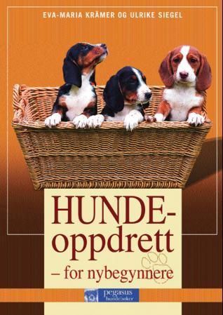 Hundeoppdrett for nybegynnere