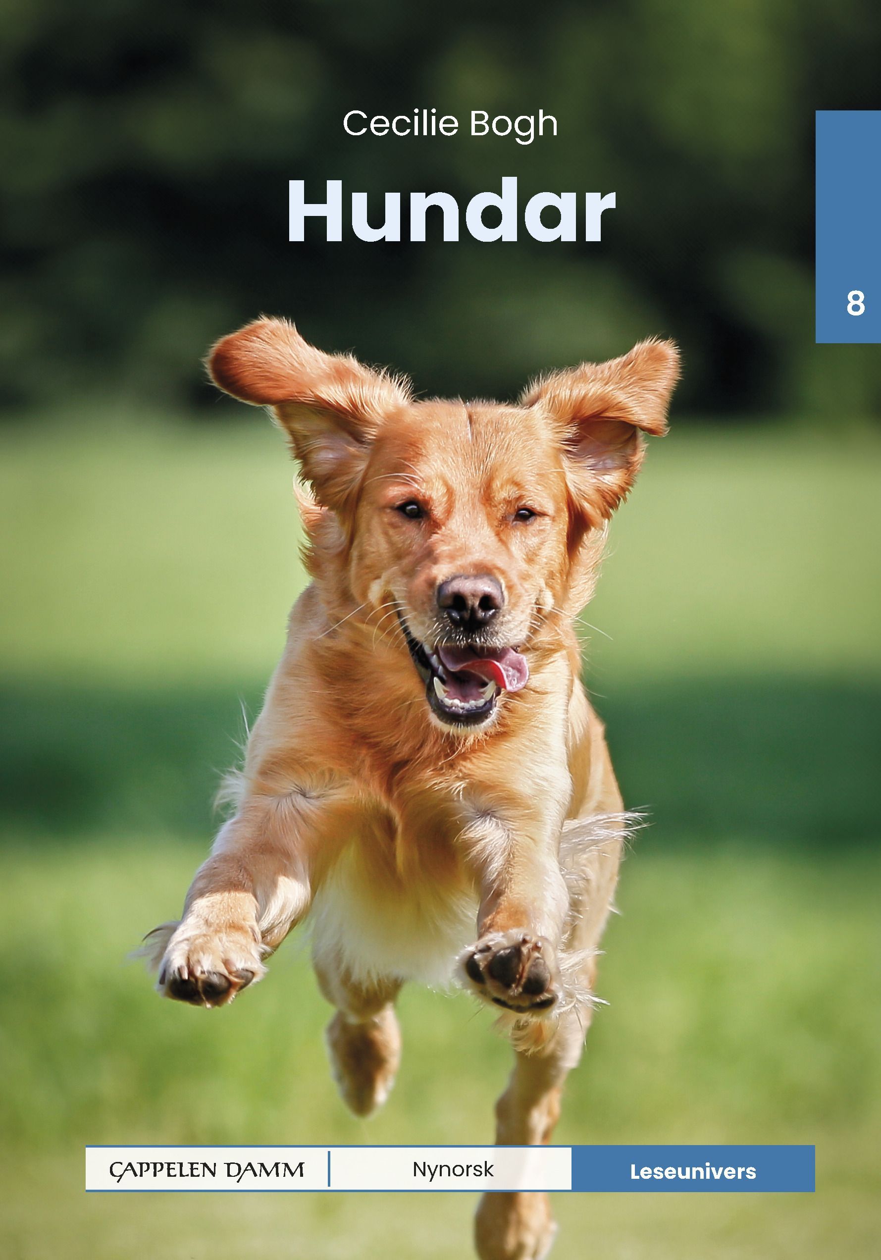 Hundar : nivå 8