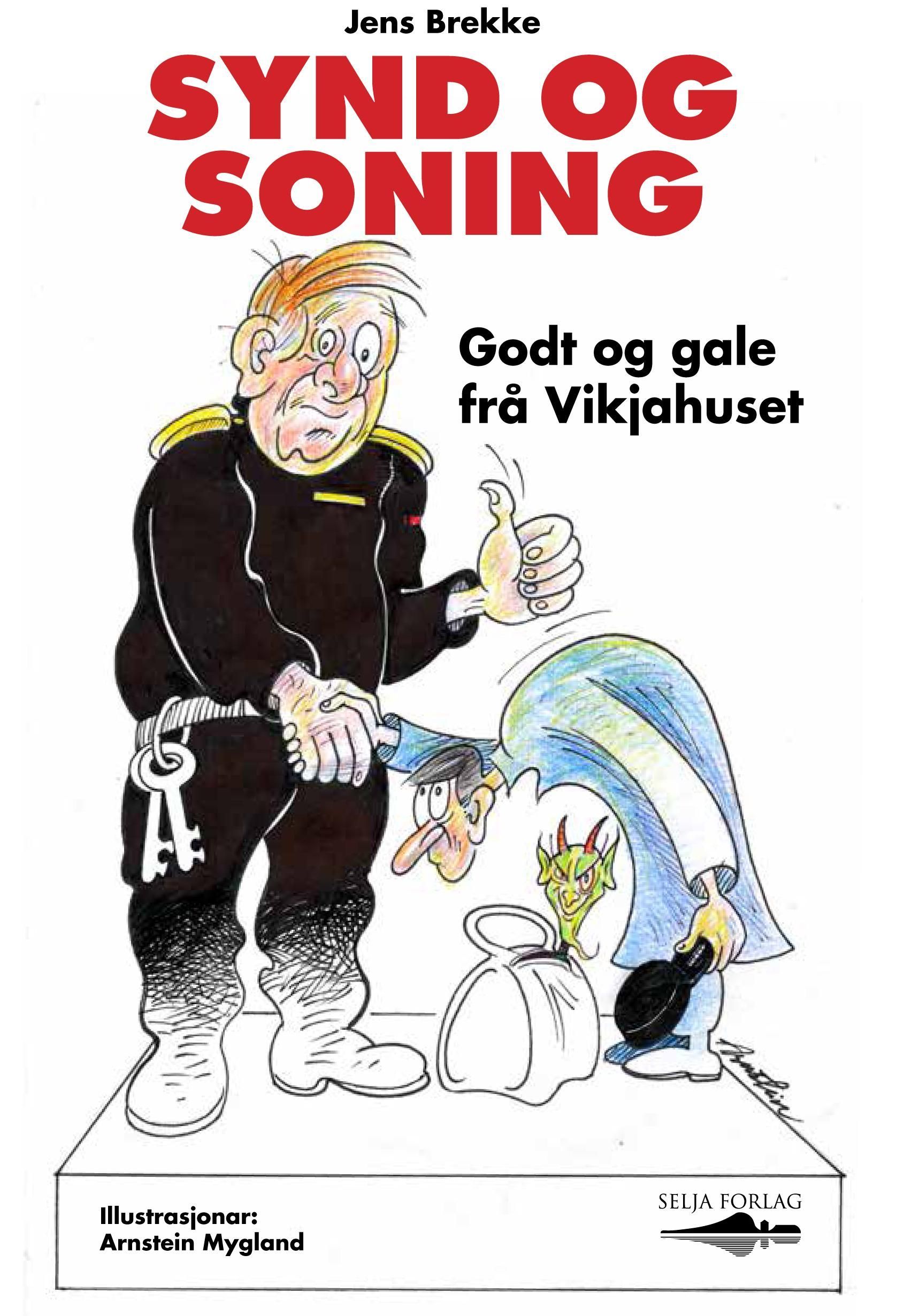 Synd og soning : godt og gale frå Vikjahuset