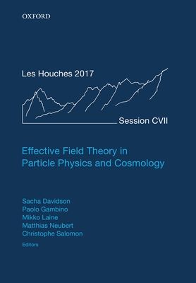 Effective Field Theory in Particle Physics and Cosmology : Lecture Notes of the Les Houches Summer School: Volume 108, July 2017