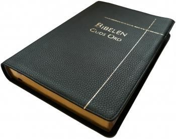 Bibelen : Guds ord