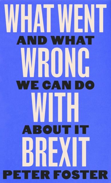 What Went Wrong With Brexit : And What We Can Do About It
