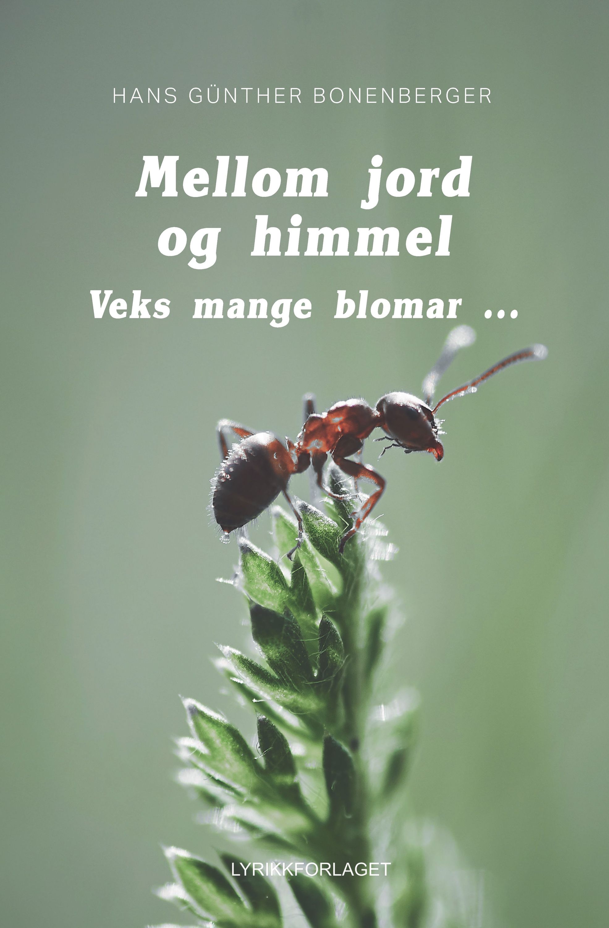 Mellom jord og himmel : veks mange blomar ...