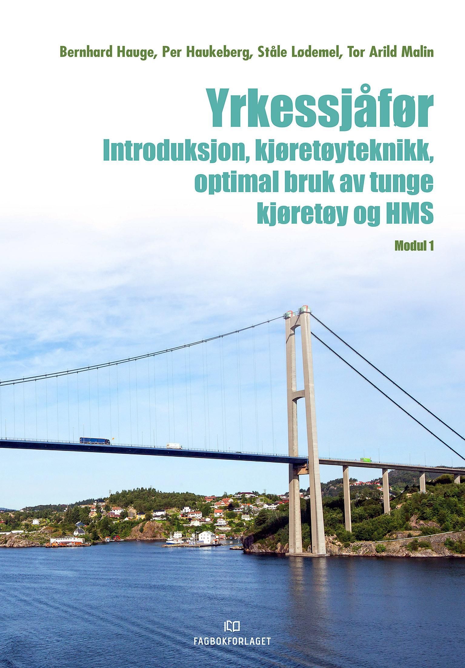 Yrkessjåfør : introduksjon, kjøretøyteknikk, optimal bruk av tunge kjøretøy og HMS : modul 1