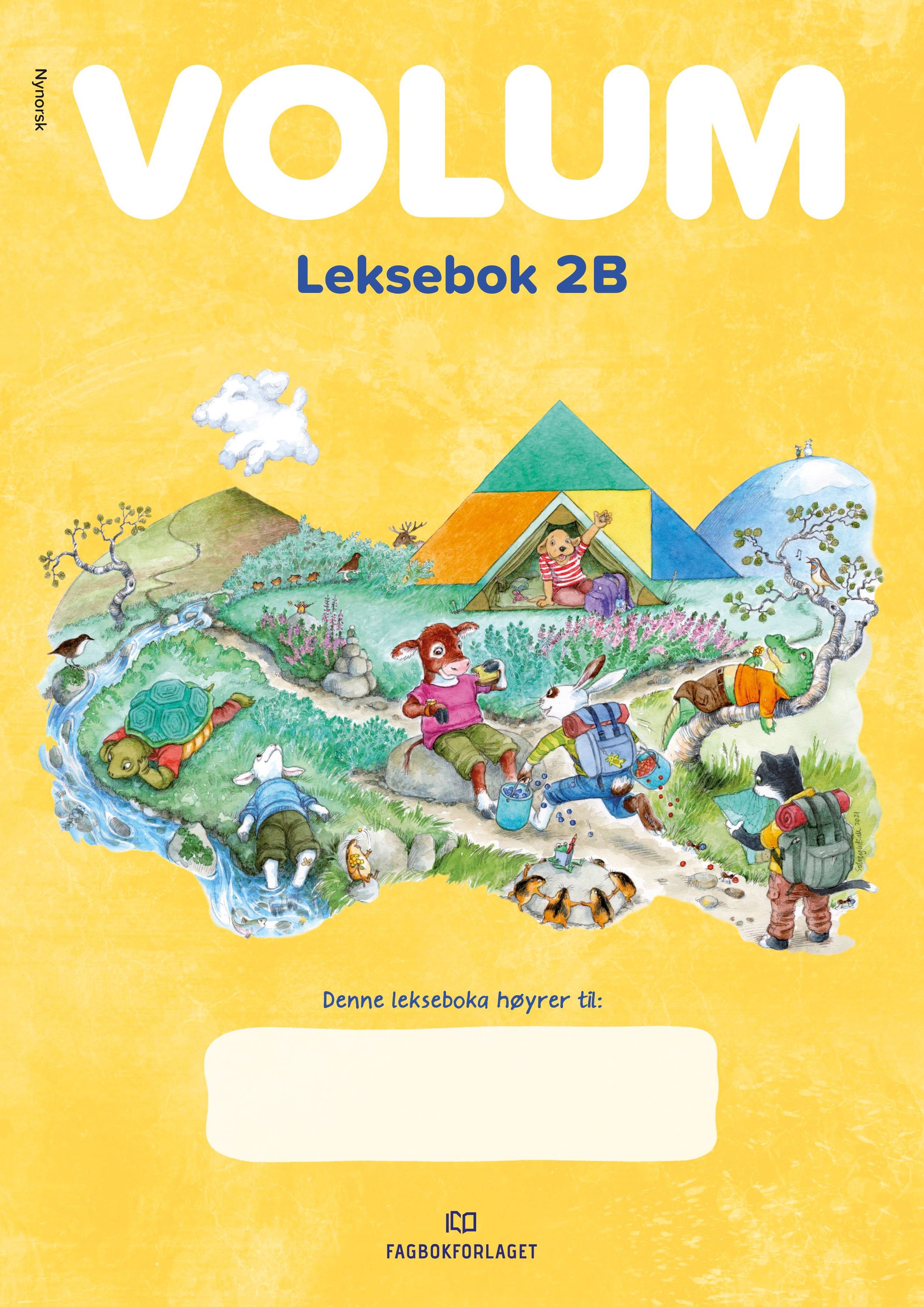 Volum 2B : matematikk for barnetrinnet. Leksebok NN