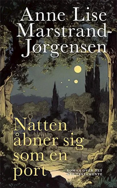 Forsidebilde av Natten åbner sig som en port : roman over Det Nye Testamente