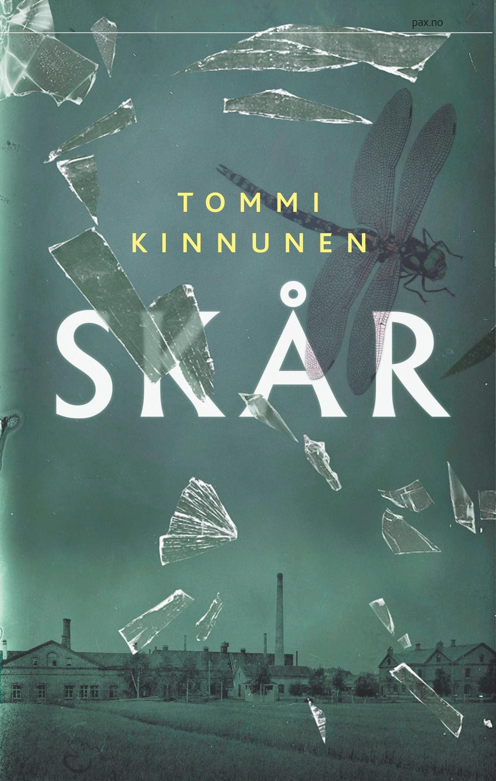 Skår : tredagersroman