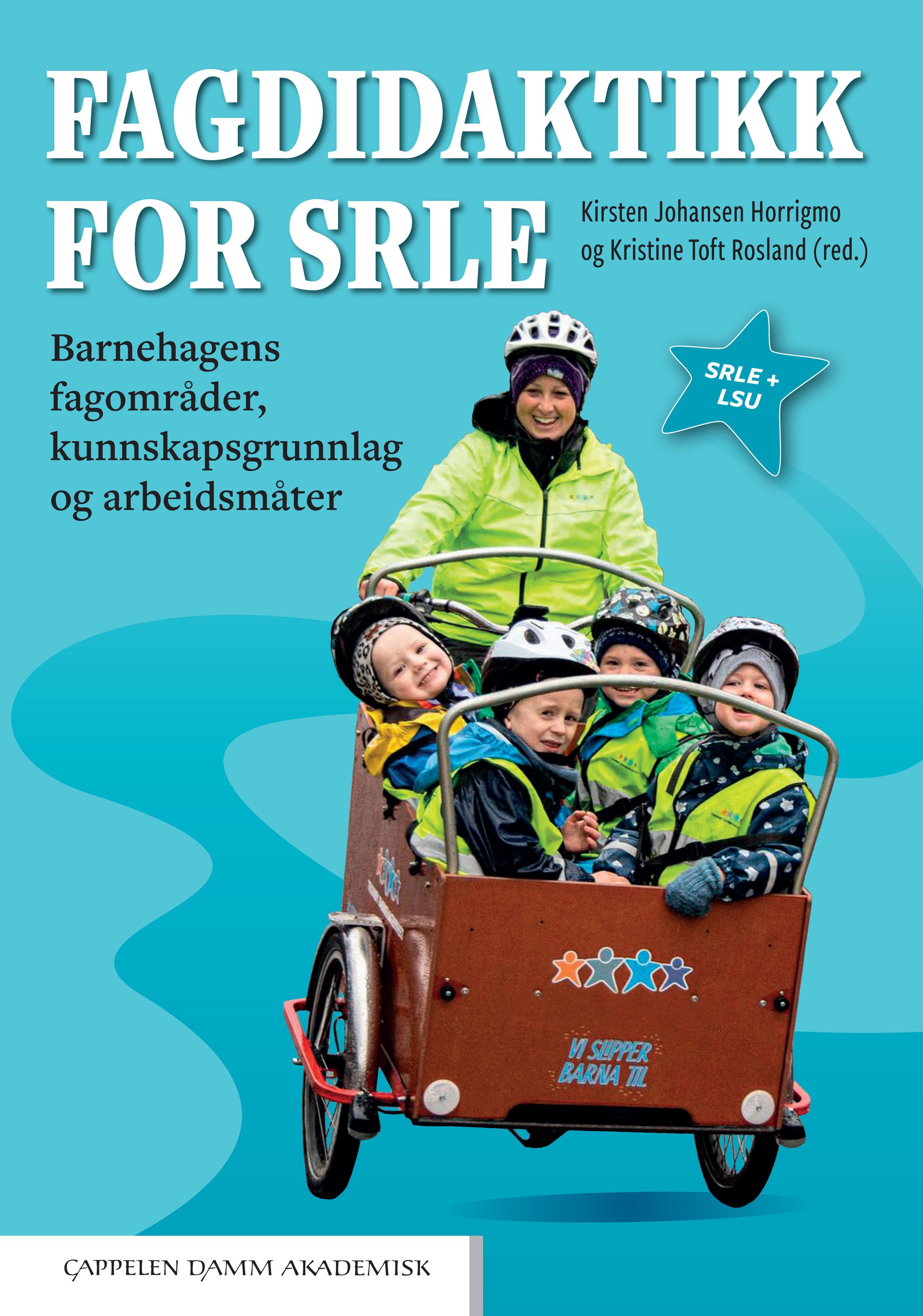 Fagdidaktikk for SRLE : barnehagens fagområder, kunnskapsgrunnlag og arbeidsmåter