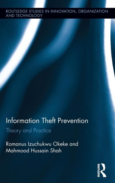 Information Theft Prevention : Theory and Practice
