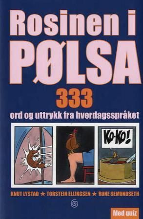 Rosinen i pølsa : 333 ord og uttrykk fra hverdagsspråket