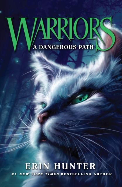 A dangerous path