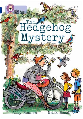 The Hedgehog Mystery : Band 16/Sapphire