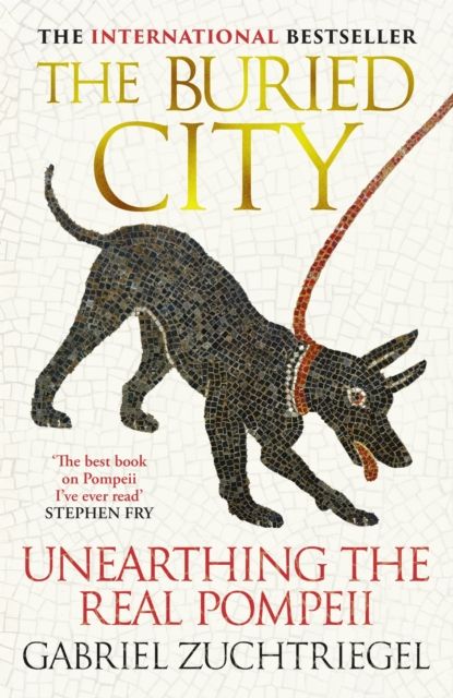 The Buried City : Unearthing the Real Pompeii - the Instant Sunday Times Bestseller
