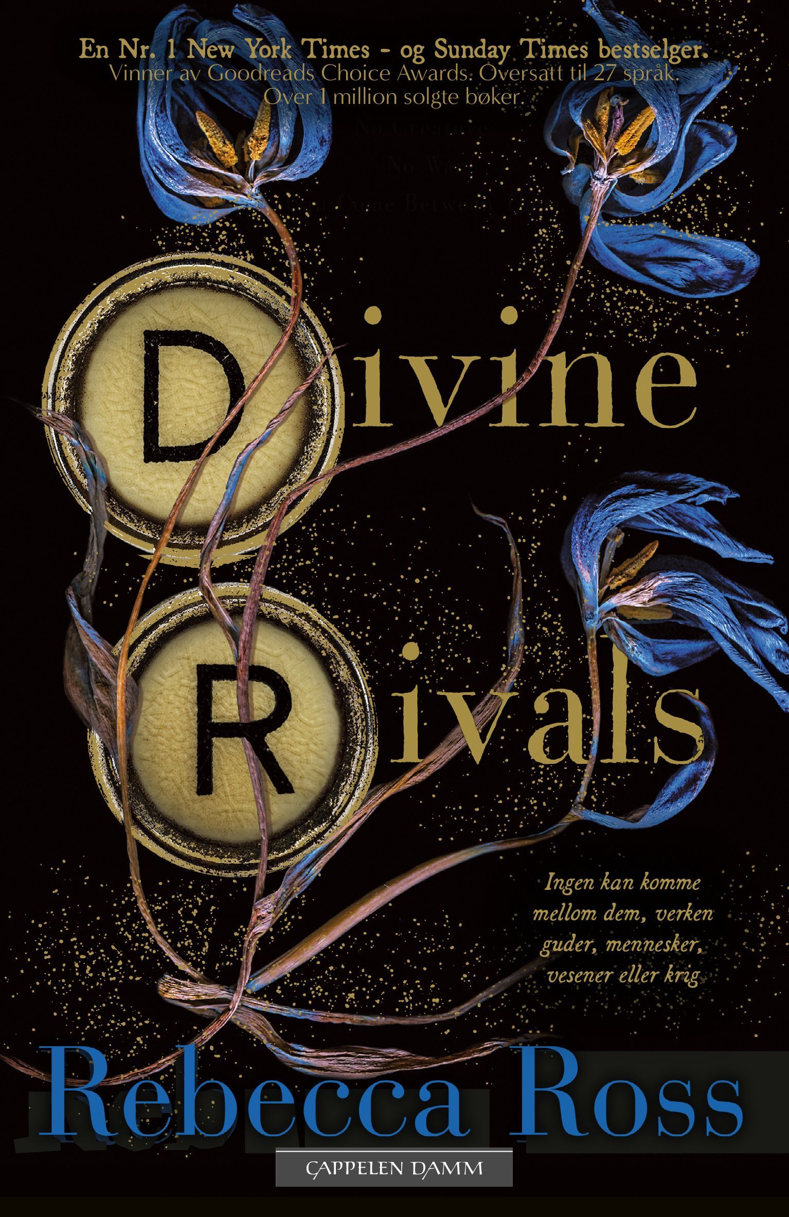 Forsidebilde av Divine Rivals