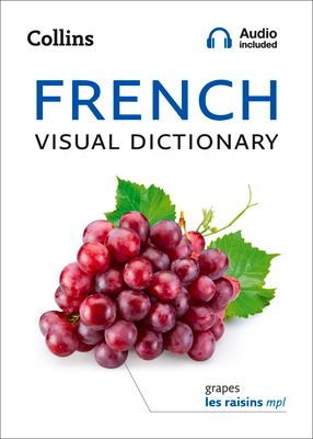 French Visual Dictionary : A Photo Guide to Everyday Words and Phrases in French
